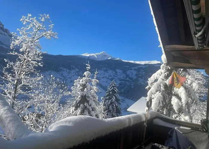 Tannegueetli By Interhome * Grindelwald