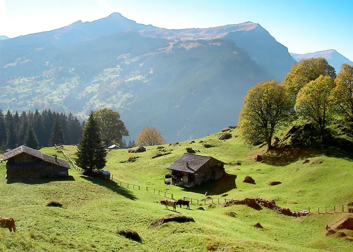 Tannegueetli By Interhome * Grindelwald